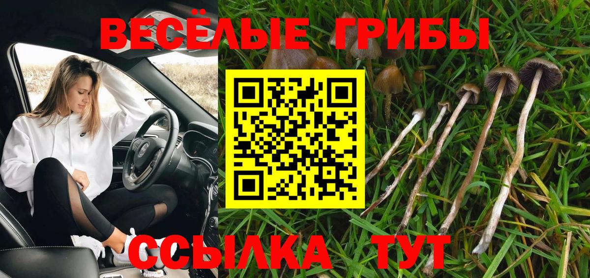 купить   Вход с VPN  Псилоцибиновые грибы мухоморы  Радужный  Псилоцибиновые грибы мицелий 